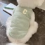 Chó Con Mùa Hè Quần Áo Chó Cho Shih Tzu Nam Và Famale Thoáng Khí Quần Áo Thú Cưng Mèo Nhỏ Mỏng Chó Vest
