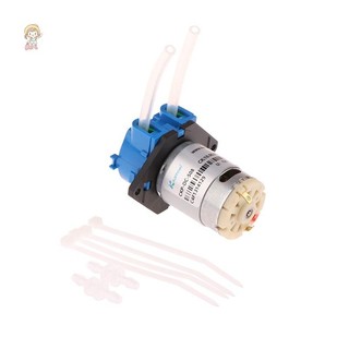 Máy bơm tự mồi TWE Máy bơm nước Máy bơm nhỏ Máy bơm tuần hoàn điện VN