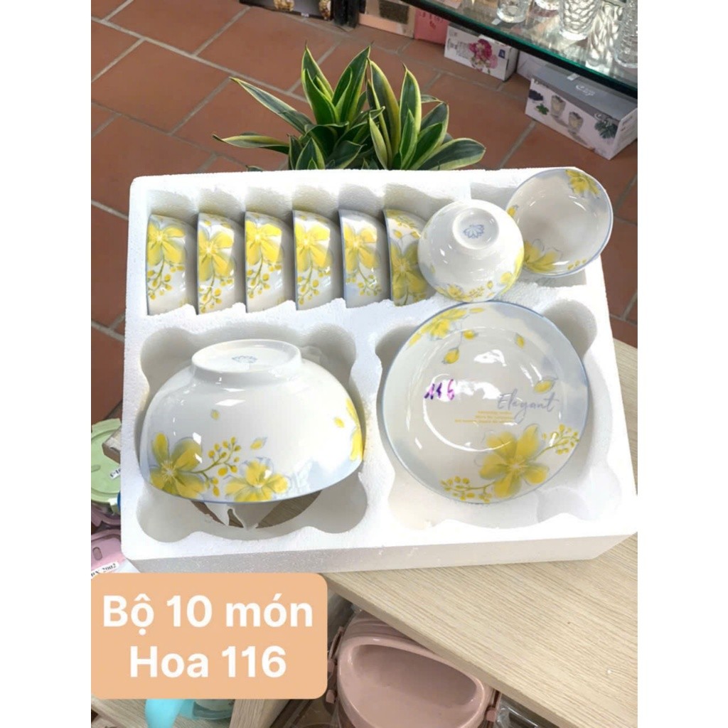 Bộ bát đĩa sứ hoa văn combo 11 món HOA ĐÀO ( có vỏ hộp ), bộ HOA ĐÀO chất liệu sứ tráng men sáng bóng