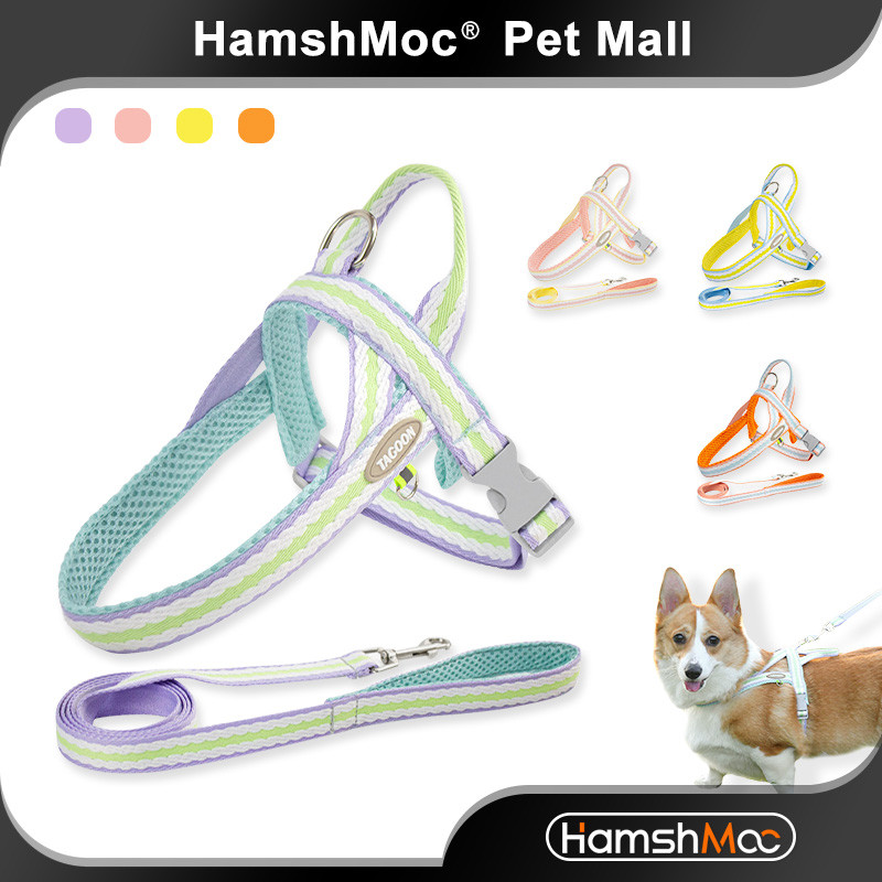 HamshMoc Bộ dây nịt và dây xích thời trang Dây đeo ngực thú cưng có thể điều chỉnh mềm mại Dây dẫn bền thoải mái có tay cầm mềm cho chó Phụ kiện đi bộ