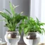 YYLINGX Chậu hoa hấp thụ nước, Đồ dùng làm vườn bằng thủy tinh Chậu hoa hấp thụ nước lười biếng, Chậu trồng thủy canh tự tưới nước chất lượng cao