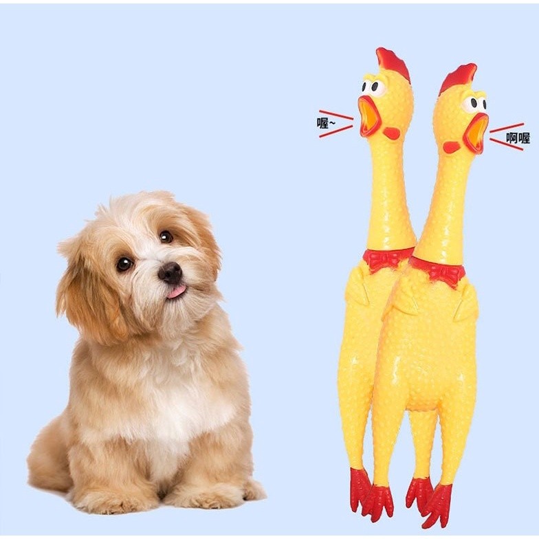 ĐỒ CHƠI CON GÀ NHỰA GÀO THÉT CHO CHÓ MÈO