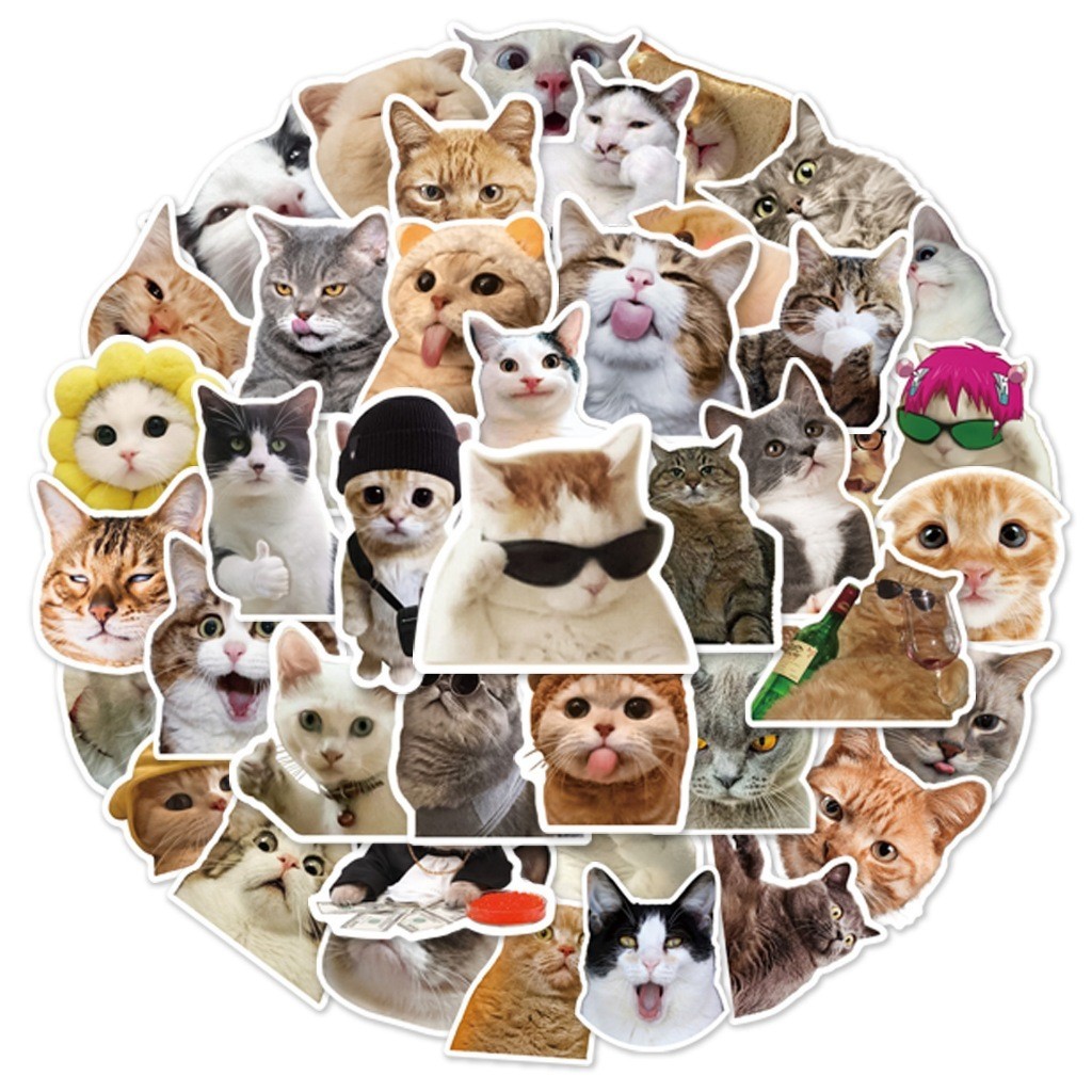[Set 50 Cái] Sticker Meme Mèo Nhiều Họa Tiết Chống Nước, Dán Trang Trí ...