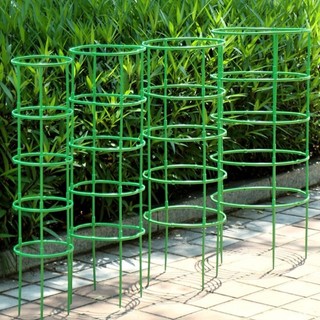 Cây Vườn Hoa Đứng Hình Bán Nguyệt Nhà Kính Sắp Xếp Giá Đỡ Cây Nho Leo Chân Đế Cây Cảnh Dụng Cụ