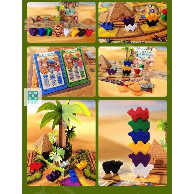 [Luật Việt] Boardgame Camel up 2nd edition Đua lạc đà 4568