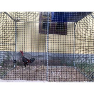 Lưới nhựa nguyên sinh 1m, 1,2m, 1,5m, 25M( hàng loại 1), lưới rào vườn, quây chuồng gà, làm sàn vịt, đai băng dính