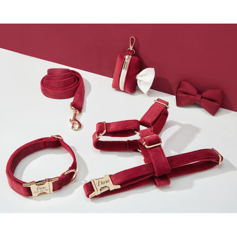 Bộ dây nịt, cổ áo, nơ và giá đỡ túi Poo nhung Burgundy cho chó, cá nhân hóa, không kéo