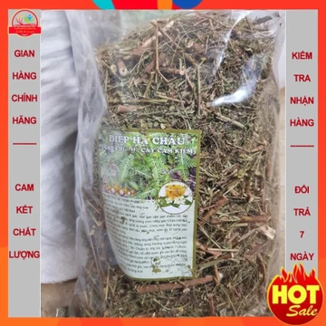Diệp hạ châu (gói 500g), cây cam kiềm, cây chó đẻ, cây răng cưa, hạ men gan, gan nhiễm mỡ, mỡ máu