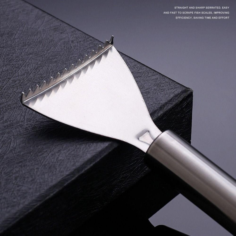 Dụng cụ tẩy vảy cá MONOSTYLE, Dụng cụ cạo vảy cá dễ dàng bằng thép không gỉ, Dụng cụ cạo vảy cá nhanh chóng có tay cầm mịn Dụng cụ hải sản nấu ăn