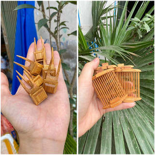 Xiên hoa quả tre già víp lồng chim chào mào, dọ dế víp lồng chim