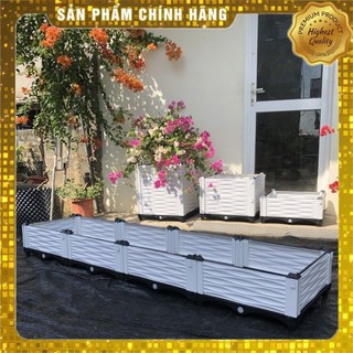 Chậu lắp ghép nhựa HDPE/PP 200x50x23cm: Thẩm mỹ, bền bỉ, dễ lắp đặt, phù hợp mọi cây trồng đô thị.