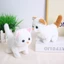 Mèo Bông Biết Đi Chó Bông Vẫy Đuôi Biết Kêu Bibi Cute Đồ Chơi Chăm Sóc Thú Cưng Cho Bé - BỐ KHỦNG LONG