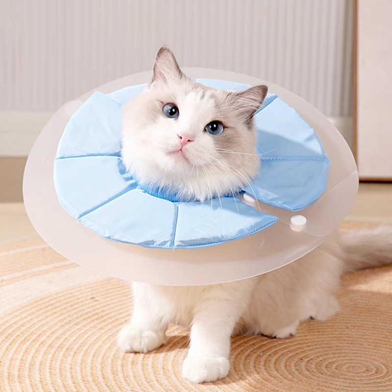 Hamshmoc Nhẹ Mèo Nón Cổ Có Thể Điều Chỉnh Chống Cắn Thú Cưng Elizabethan Cổ Chống Liếm Phục Hồi Cổ Cho Thú Cưng Nhỏ Bảo Vệ Vết Thương