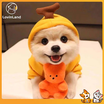 Áo Hoodie chó Lovinland Áo len cơ bản Áo khoác dễ thương - Hình con ếch Áo khoác ấm áp cho thú cưng Thời tiết lạnh Quần áo Trang phục Áo khoác ngoài cho mèo Con chó con nhỏ vừa chó