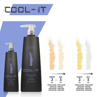 Dầu gội xả tím khử vàng cho tóc màu sáng, tóc bạc, trắng Bes Color Reflection - COOL IT 300mlx2 [ TN ]