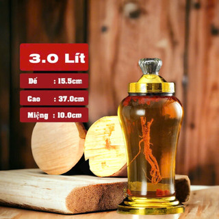 Bình sâm Thủy Tinh Bầu Cao 03 Lít, 04 Lít, 05 Lít | Tùy Chọn Dung Tích