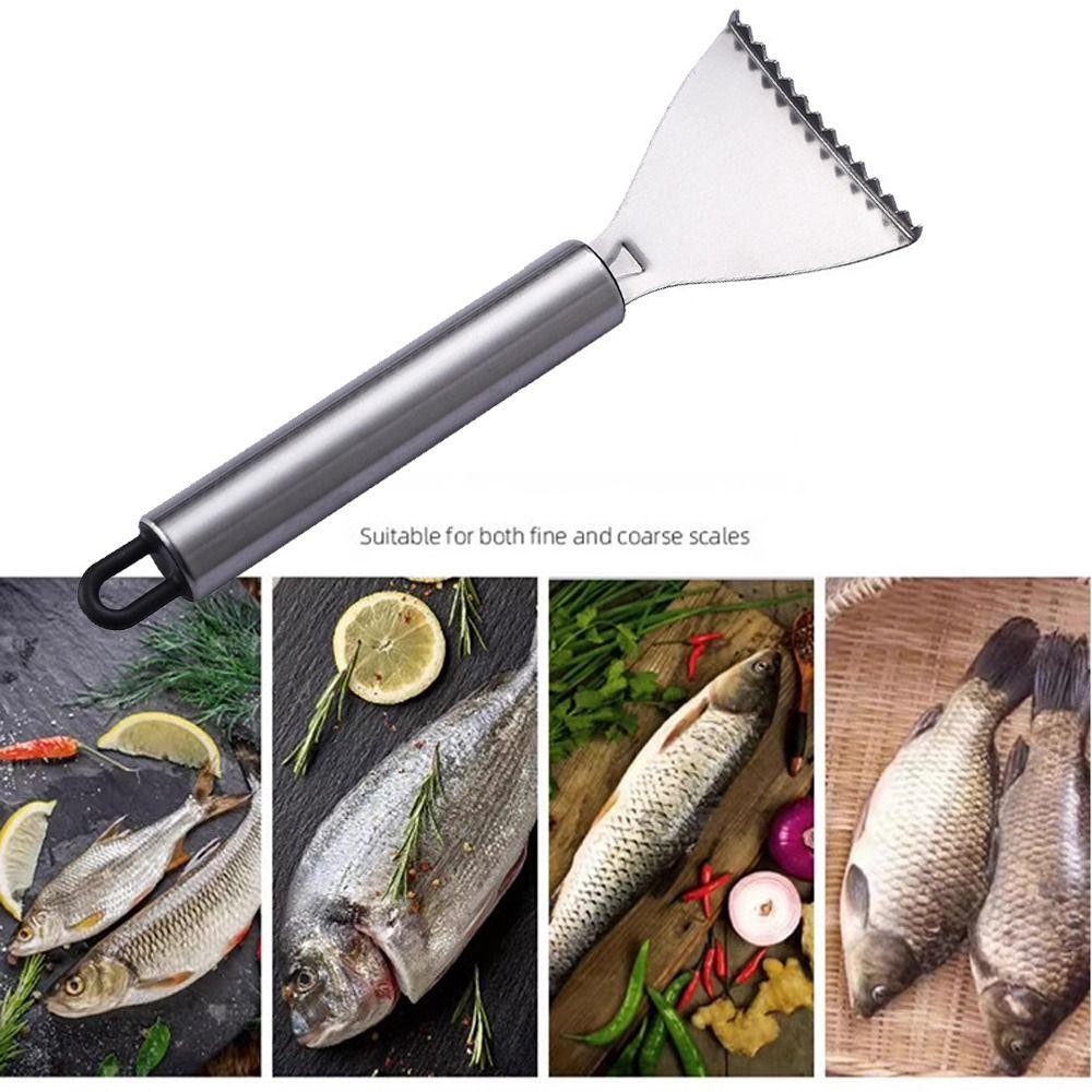Dụng cụ loại bỏ vảy cá CAST, Dụng cụ cạo vảy cá dễ dàng di chuyển bằng thép không gỉ, Nhanh chóng chuẩn bị cá Tay cầm mịn Dụng cụ hải sản Dụng cụ hải sản