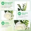 BORAGETE Hoa Hồng Thổ Cẩm, Trang Trí Tiệc Nhân Tạo Tiệc Cưới Boutonniere, Vải Lụa Lãng Mạn Cổ Tay Corsage Trâm Cài Phụ Kiện Đám Cưới