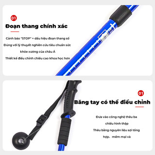 Gậy Leo Núi Trekking Gấp Gọn Siêu Nhẹ, Tiện Lợi Cho Phượt Và Dã Ngoại, Phù Hợp Cho Nam Nữ