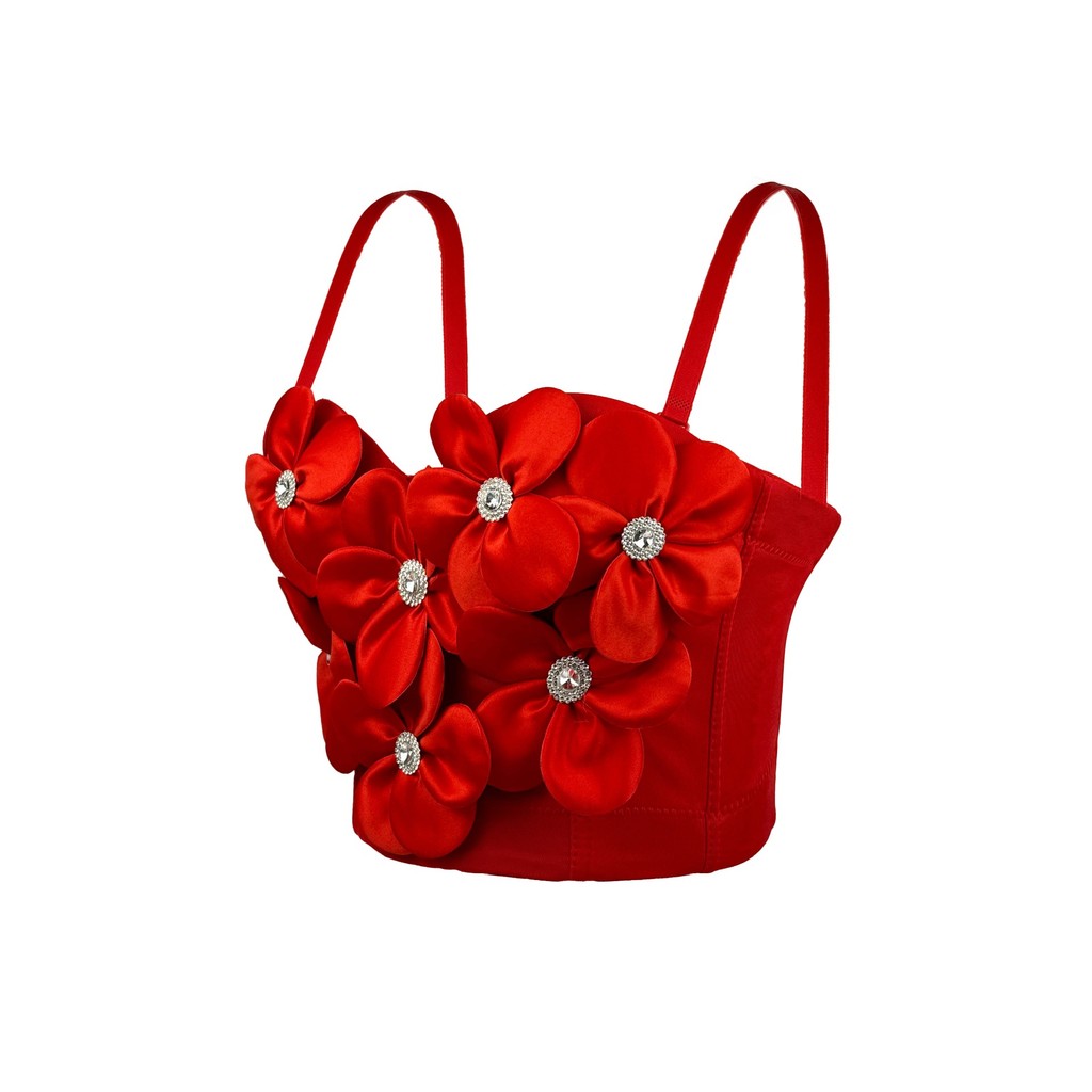 Trắng Ba Chiều Hoa Gợi Cảm Corset Xương Cá Áo Ngực Coaster Cao Cấp Mặc Ngoài Shapewear Sling