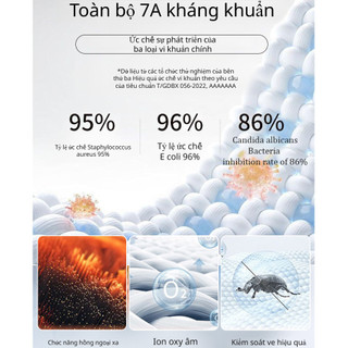 『 Brelira 』Quần lót định hình nâng hông liền mạch Quần lót điều khiển bụng thoáng khí Plus Kích thước chống chảy xệ Hỗ trợ đồ lót nữ
