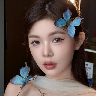 1 Bộ Kẹp Tóc Bướm Mô Phỏng retro, Phụ Kiện Tóc, Mũ Cao Cấp Siêu Cổ Tích, Kẹp Tóc, Kẹp Bên, Phụ Kiện Ảnh