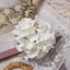 Mũ Đội Đầu Cô Dâu FUJIZOU, Mũ Cô Dâu Hoa Trắng Thanh Lịch, Đám Cưới Mới Hydrangea Phong Cách Pháp Trang Sức Tóc Phụ Kiện Chụp Ảnh