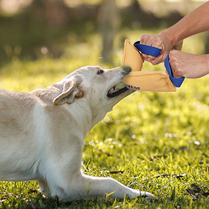 Doglemi Tương Tác Chó Tug Đồ Chơi Squeaky Thú Cưng Nhai Đồ Chơi Chống Cắn Có Tay Cầm Cho Chó Nhỏ Vừa Lớn Cắn Huấn Luyện