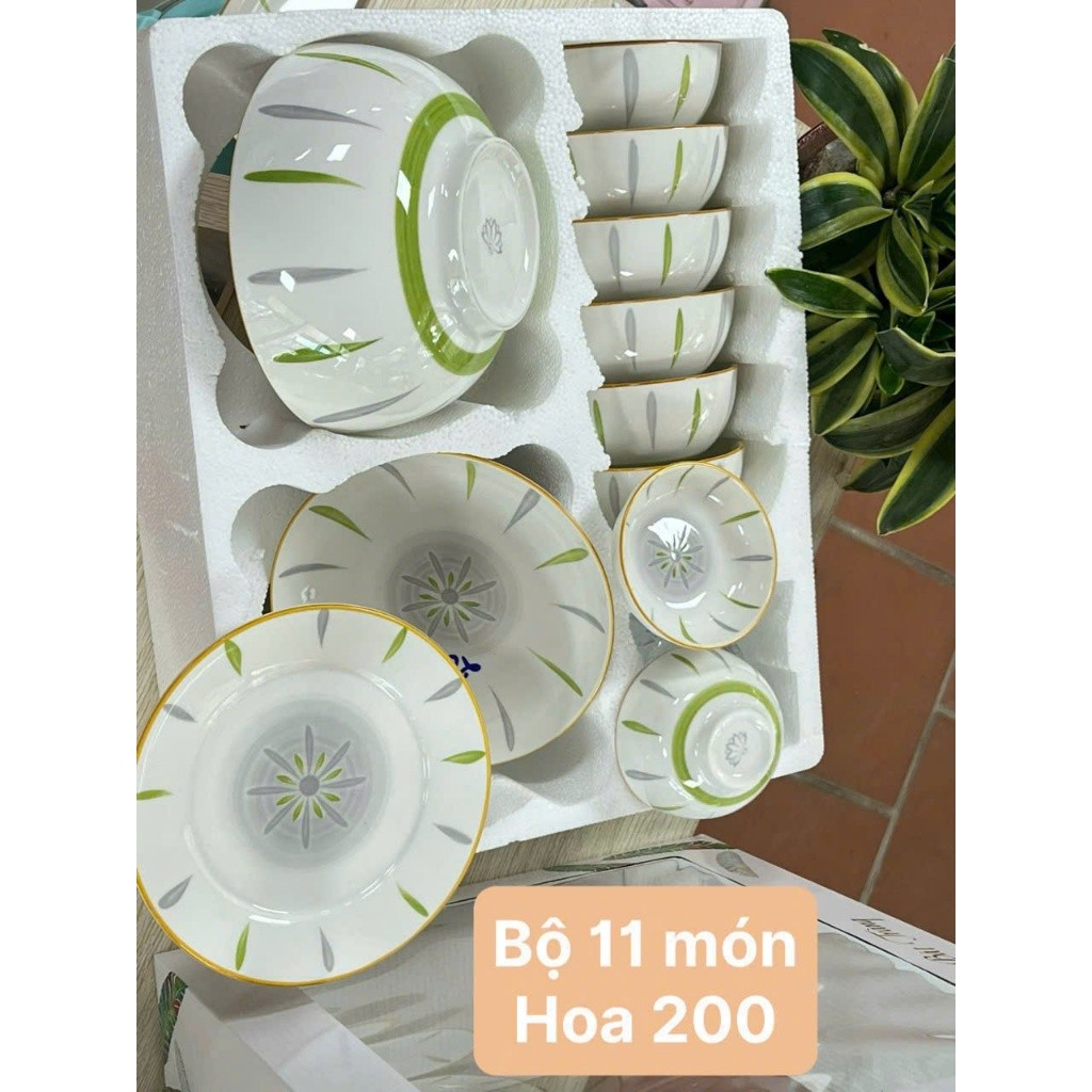 Bộ bát đĩa sứ hoa văn combo 11 món HOA ĐÀO ( có vỏ hộp ), bộ HOA ĐÀO chất liệu sứ tráng men sáng bóng