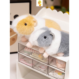 PLUS✨Chất lượng cao✨Dễ Thương Giả Hà Lan Lợn Búp Bê Sang Trọng Đồ Chơi Trang Trí Bàn Trẻ Em Ngày Lễ Quà Tặng Tốt Nghiệp Trao Đổi Quà Tặng Quà Tặng Cho Cặp Đôi
