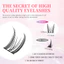 Hộp lông mi giả 10 hàng KILIGMATA với 10-13mm Truyện tranh tự nhiên Lông mi giả Dung lượng lớn Dễ sử dụng Chất lượng cao Tái sử dụng