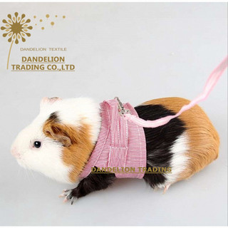 [DANDELION] Dây xích ngoài trời cho thú cưng, chuột đồng, bạch tuộc, sóc, chuột lang, dây nịt sọc cho thỏ nhỏ, quần áo cho chuột lang, quần áo cho chuột lang