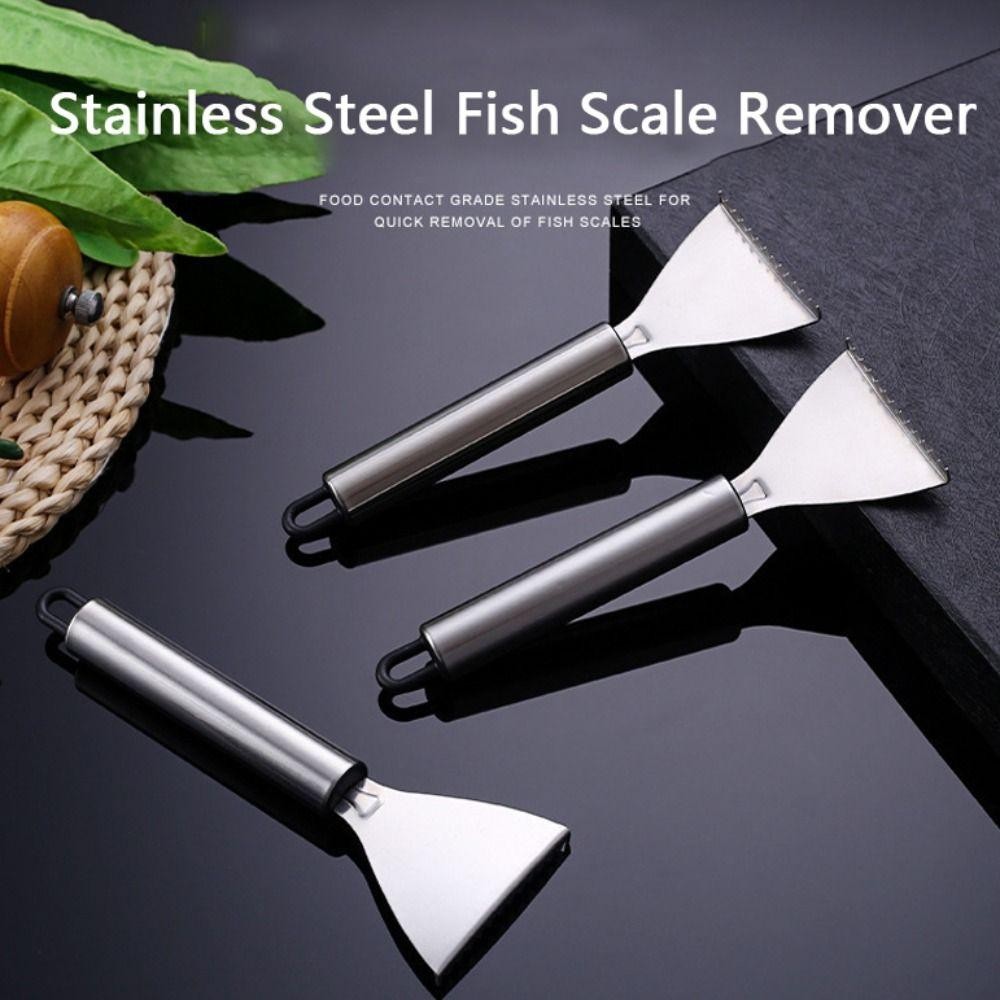 Dụng cụ tẩy vảy cá MONOSTYLE, Dụng cụ cạo vảy cá dễ dàng bằng thép không gỉ, Dụng cụ cạo vảy cá nhanh chóng có tay cầm mịn Dụng cụ hải sản nấu ăn