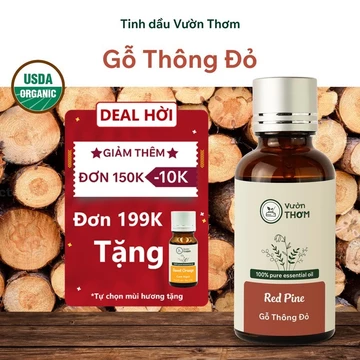 Tinh dầu Gỗ Thông Đỏ Vườn Thơm, tinh dầu thiên nhiên nguyên chất xông thơm phòng