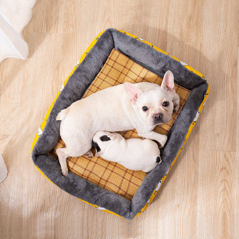 【Ready Stock】 Kennel Four Seasons Universal Cat Nest Winter Dog Kennel Winter Warm Small Large Dog Dog Bed Mat Pet Supplies Ha29