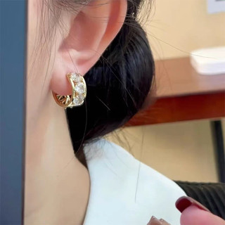 Sang Trọng Siêu Nhấp Nháy Tím Kim Cương Giả Vòng Tròn Khóa Tai Nữ Niche Thiết Kế Tinh Tế Bông Tai Hai Mặt Thời Trang
