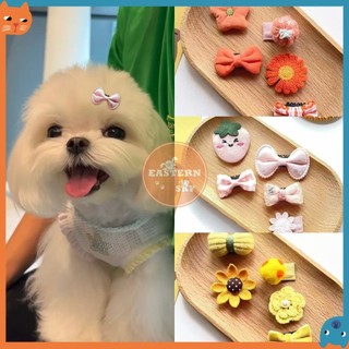 5 Cái / gói Thú Cưng Dễ Thương BB Kẹp Malzis Yorkshire Chó Nhỏ Kẹp Tóc Thú Cưng Phụ Kiện Tóc