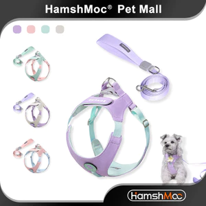 HamshMoc Bộ dây nịt và dây xích thời trang Dây đeo ngực thú cưng có thể điều chỉnh mềm mại Dây dẫn bền thoáng khí cho chó nhỏ vừa đi bộ ngoài trời