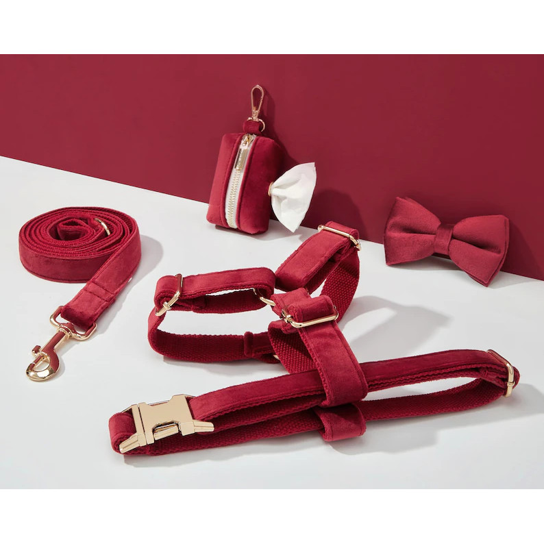 Bộ dây nịt, cổ áo, nơ và giá đỡ túi Poo nhung Burgundy cho chó, cá nhân hóa, không kéo
