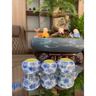 Cóng Bách Hoa xanh, cóng chim chào mào cao cấp, bộ 3 cóng đã gắn tai