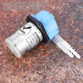 Iuxishop Bơm Nhu Động 3X5 24V DC DIY Định Lượng Chất Lỏng Với Đầu Ống Cho Aquariun Phòng Phân Tích Hóa Học Tự Mồi