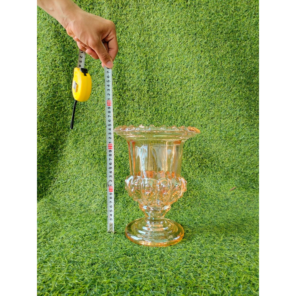 Ly đựng phật thủ cao 15cm, Cốc bày phật thủ thuỷ tinh dày dặn có 3 loại 15cm, 20cm 25cm