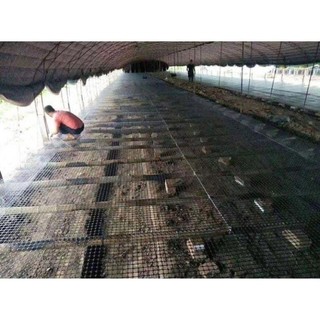 Hàng loại 1: loại dầy  cao 1,8 mét dài 50 mét lưới nhựa dẻo lưới rào vườn - lưới quây chuồng gà-làm sàn vịt