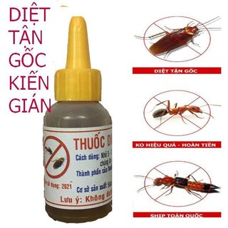 Lọ Thuốc Diệt Kiến và Gián Sinh Học An Toàn. Thuốc Diệt Kiến. Thuốc Diệt Kiến Gián Sinh Học