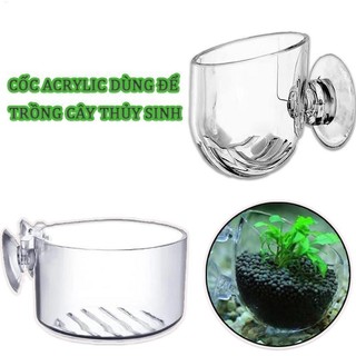 Chậu thủy tinh thực vật thủy sinh, cốc đựng thực vật bể cá Trang trí dùng để trồng cây thủy sinh làm đẹp bể cá enmdavn