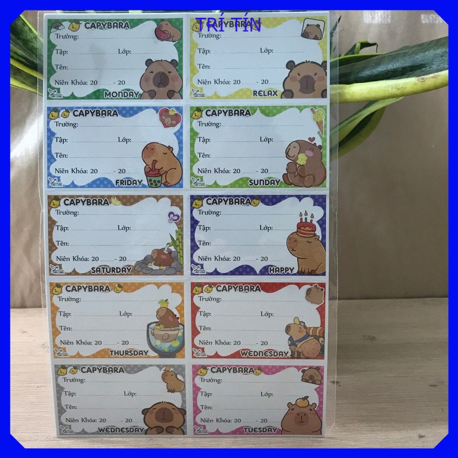 1 xấp Nhãn vở học sinh ( 50 ô nhãn) capybara,labubu,curumi,pnpnmrurin ...