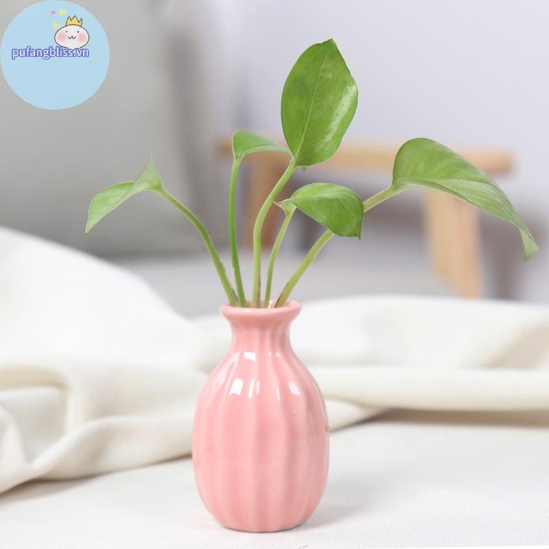 Pufangbliss Ins Gốm Sứ Bình Hoa Bắc Âu Bình Sáng Tạo Trang Trí Phòng Hoa Chai Chậu Bàn Trang Trí Bình Nhiều Màu Sắc VN