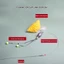 AWNGD 5 Móc Câu Cá Chép, Pesca Ready Made Fishing Hair Rigs Móc, 2025 Thiết Bị 3 # -10 # Cá Chép Giàn Câu Cá Dụ Câu Cá