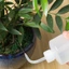 BORAGETE 1 Chai Đo Phòng Thí Nghiệm, Rửa Chai Rửa Trắng Sạch, Bền 250 / 500 / 1000ml Nhựa Đo Hình Xăm Bóp Chai Đồ Trang Điểm