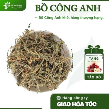 Bồ Công Anh thanh nhiệt cơ thể, giải phóng độc tố trong gan - Túi 1kg hàng công ty, sàng sạch bụi